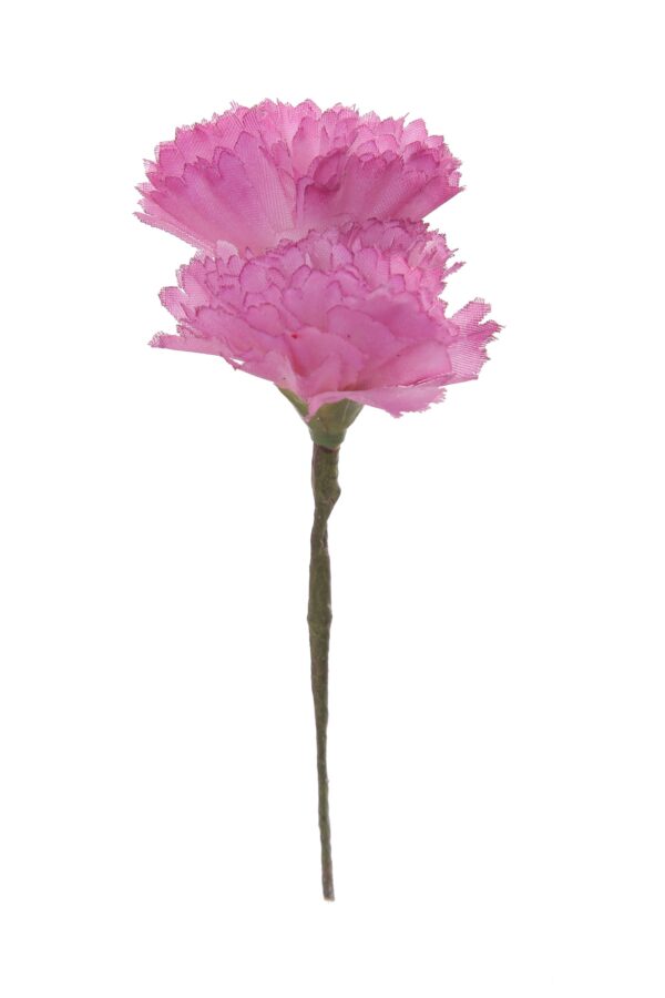 Clavellina de niña mini rosa malva