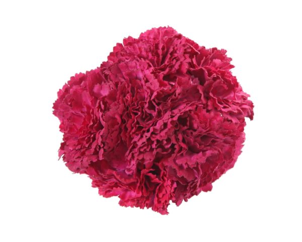 Ramillete de claveles de color Buganvilla