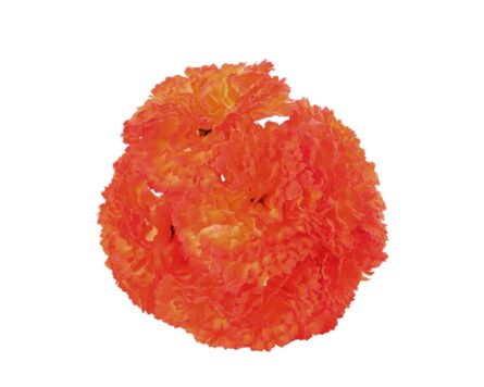 Ramillete de claveles de color Naranja Chillón - Imagen 1