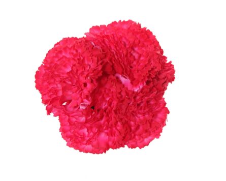 Ramillete de claveles de color Coral Piedra - Imagen 1