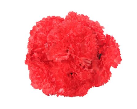 Ramillete de claveles de color Coral - Imagen 1