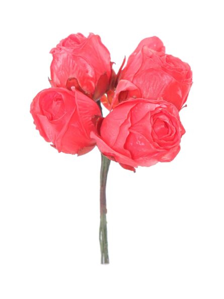 Capullo envejecido de rosas color Coralina - Imagen 1
