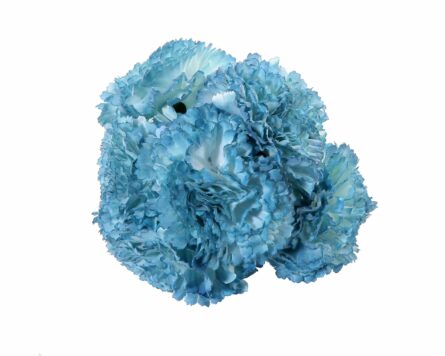 Ramillete de claveles de color Ducado Antiguo - Imagen 1