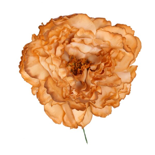 Flor de flamenca estilo peonia color Camel