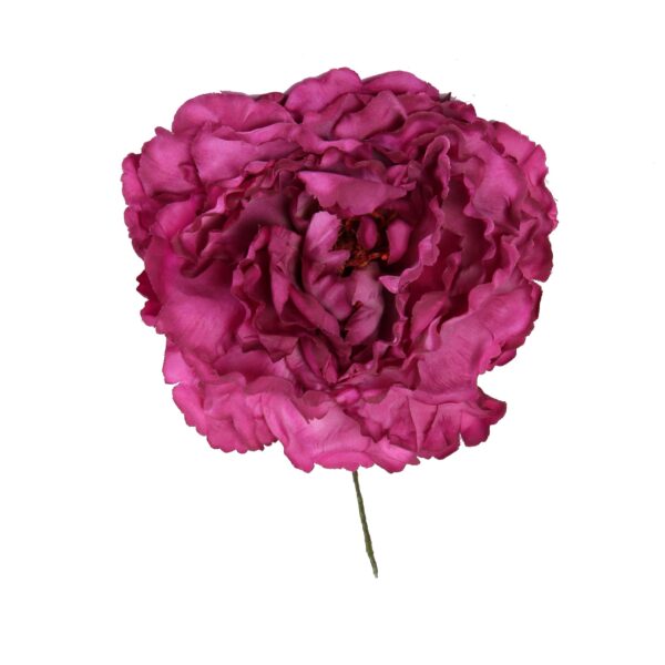 Flor de flamenca estilo peonia color buganvilla