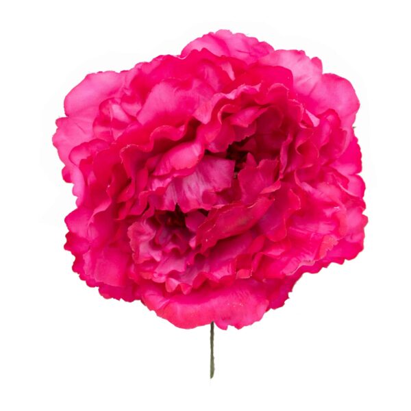 Flor de flamenca estilo peonia color Frambuesa