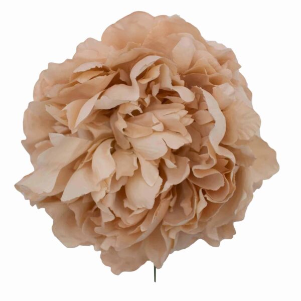 Flor de flamenca estilo peonía color Beige