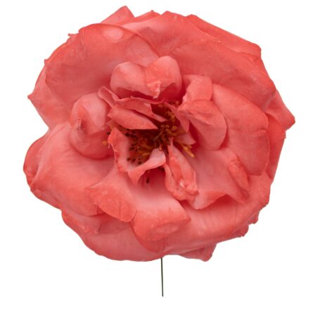 Rosa de flamenca color Coral - Imagen 1