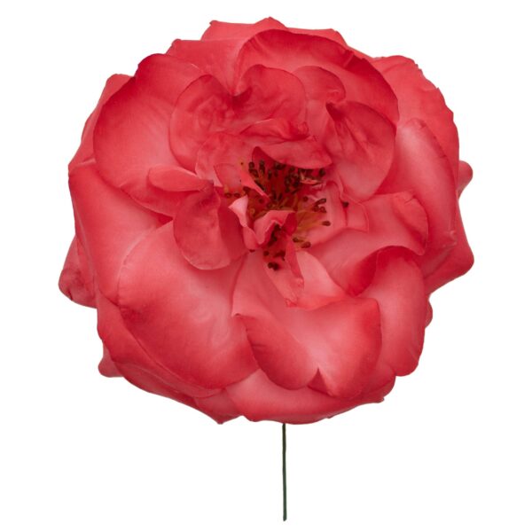 Rosa de flamenca color Coral