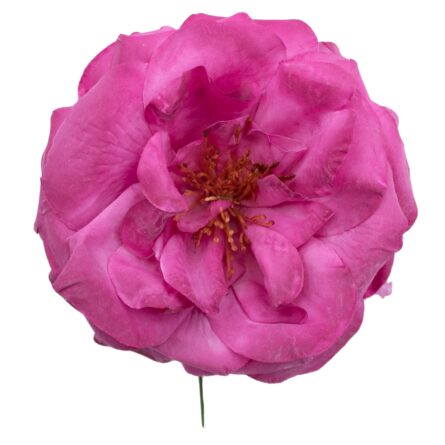 Rosa de flamenca color Buganvilla - Imagen 1