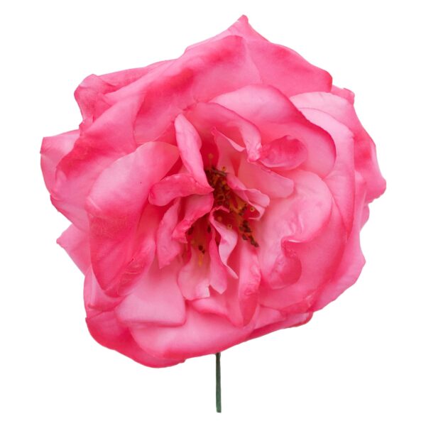 Rosa de flamenca color Rosa