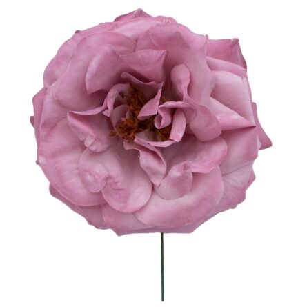 Rosa de flamenca color Maquillaje - Imagen 1