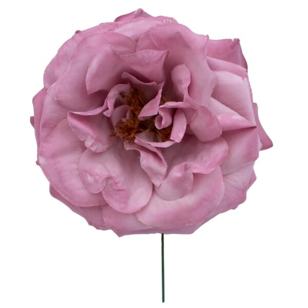 Rosa de flamenca color Maquillaje