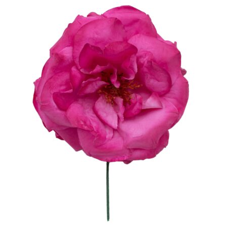 Rosa de flamenca color Buganvilla - Imagen 1