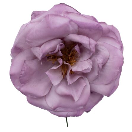 Rosa de flamenca color Malva Antiguo - Imagen 1