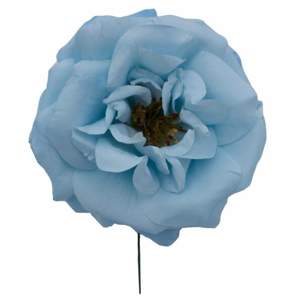 Rosa de flamenca color Azul Celeste