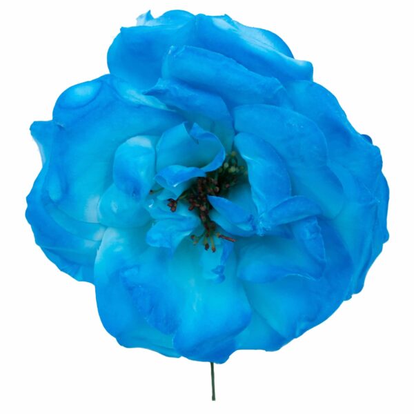 Rosa de flamenca color Azul Turquesa