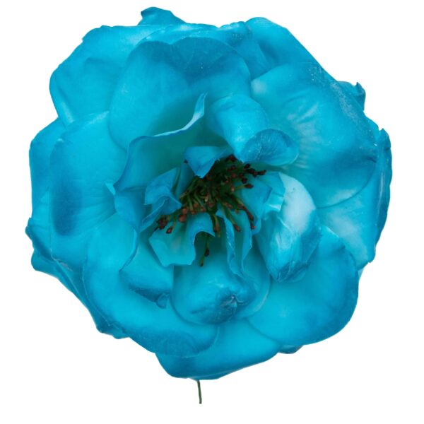 Rosa de flamenca color Aguamarina