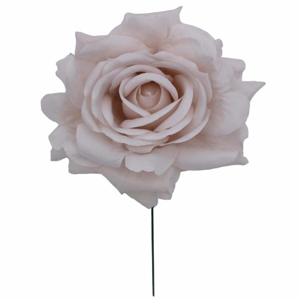 Rosa de flamenca color Marfil
