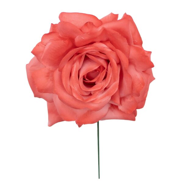 Rosa de flamenca color Coral