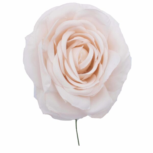 Rosa de flamenca color Marfil
