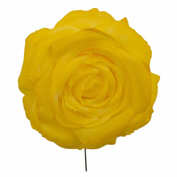 Rosa de flamenca color Amarillo