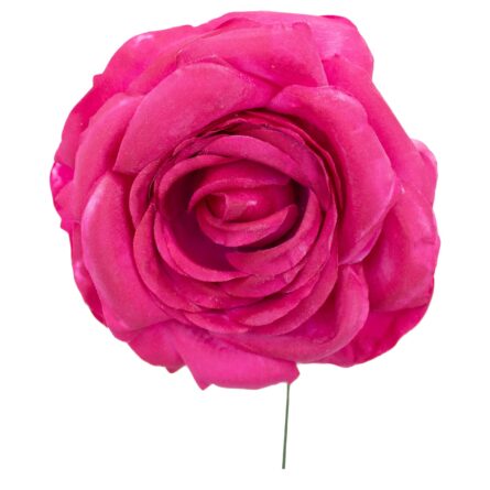 Rosa de flamenca de Frambuesa - Imagen 1
