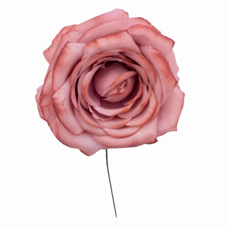 Rosa de flamenca color Caldera Pastel - Imagen 1