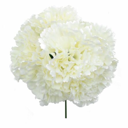 Ramillete de claveles de color Blanco Roto - Imagen 1