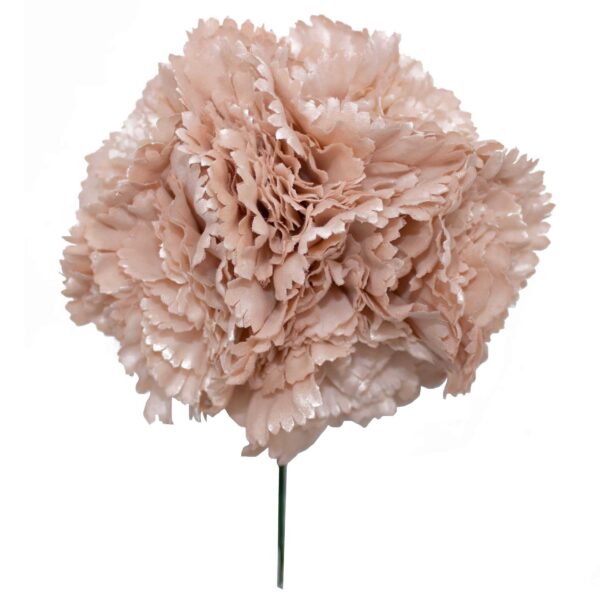 Ramillete de claveles de color Beige Nude
