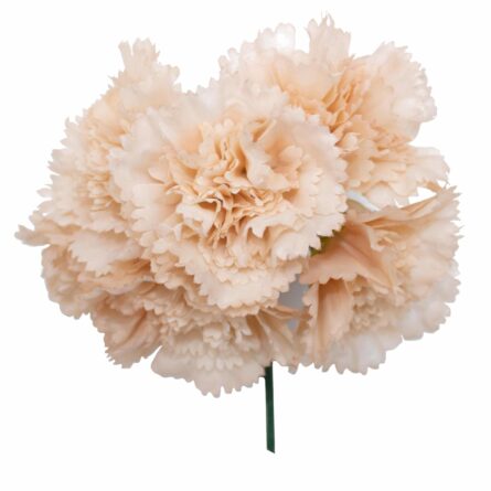 Ramillete de claveles de color Beige - Imagen 1