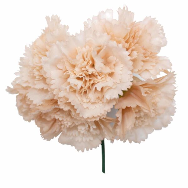 Ramillete de claveles de color Beige
