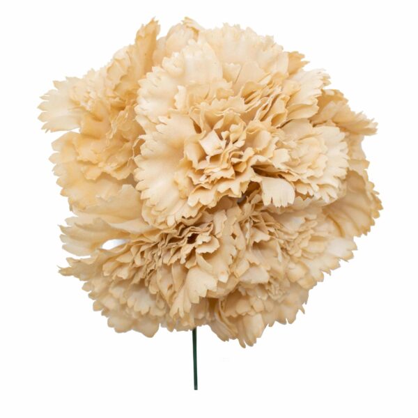 Ramillete de claveles de color Camel Pastel
