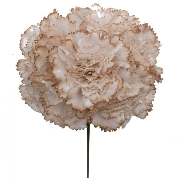 Ramillete de claveles de color Beige Tostado