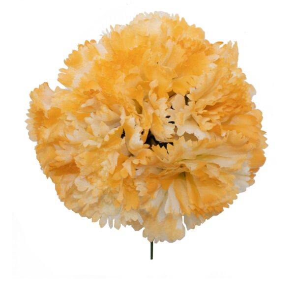 Ramillete de claveles de color Amarillo Degradado