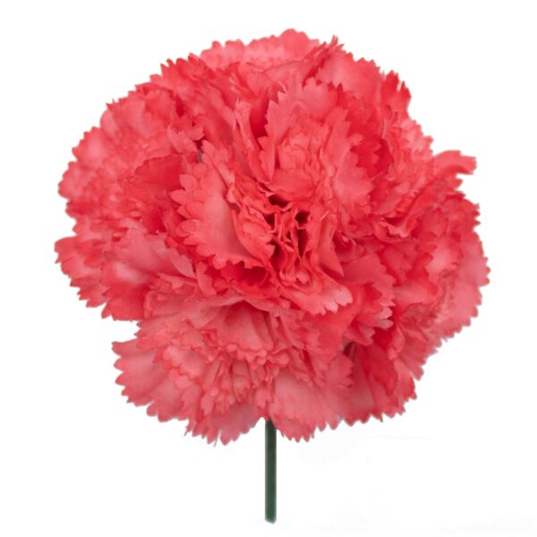 Ramillete de claveles de color Rojo Coral