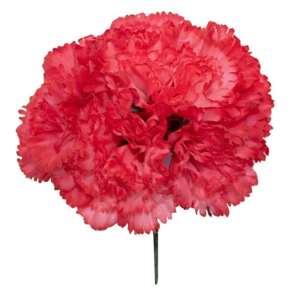 Ramillete de claveles de color Rojo Coral