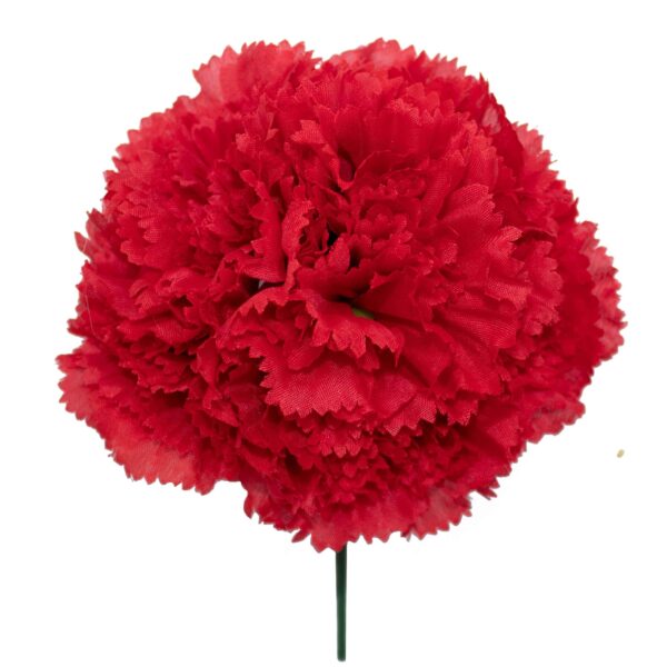 Ramillete de claveles de color Rojo