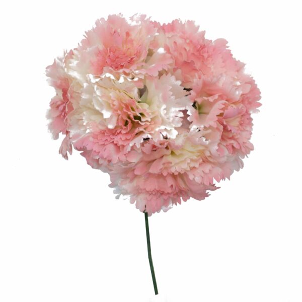 Ramillete de claveles de color Rosa Empolvado Degradado