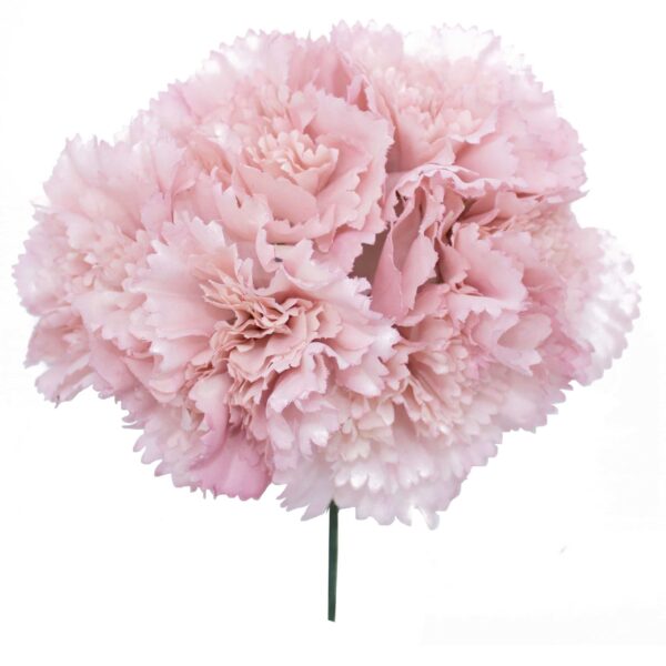 Ramillete de claveles de color Rosa Empolvado