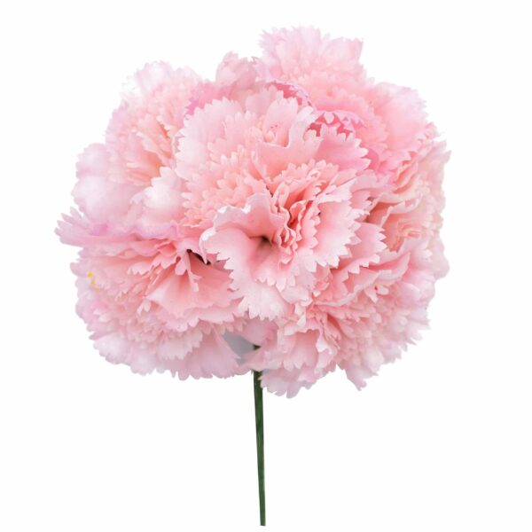 Ramillete de claveles de color Rosa Bebé