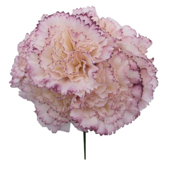 F0964-MALVA-ANTIGUO-scaled Ramillete de claveles de color Malva Antiguo
