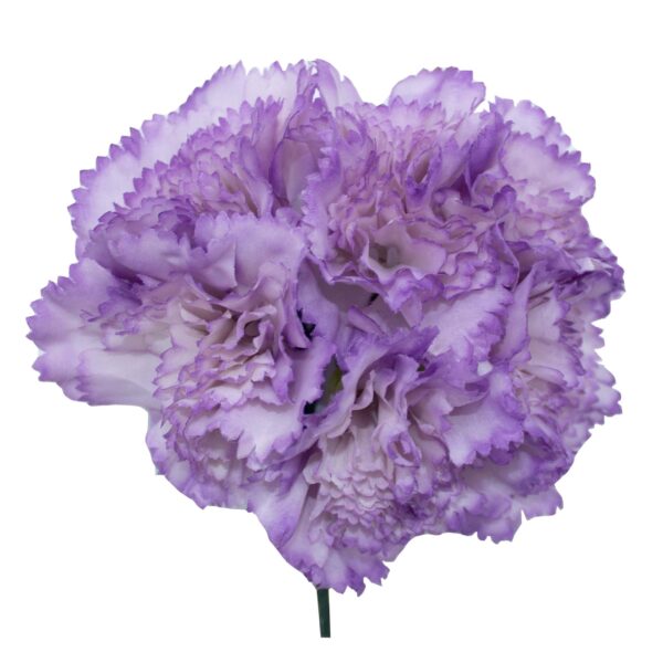 Ramillete de claveles de color Malva