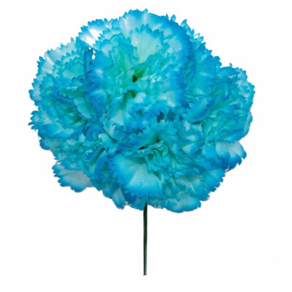 Ramillete de claveles de color Turquesa