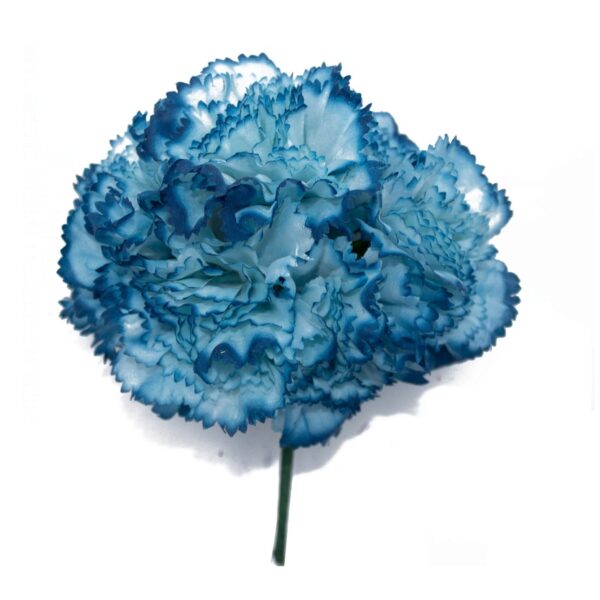 Ramillete de claveles de color Azul Azafata Antiguo