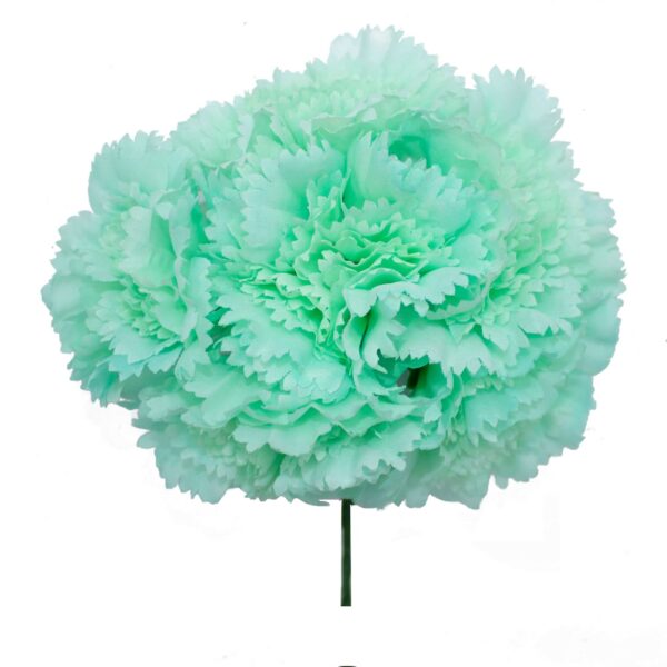 Ramillete de claveles de color Verde Agua Pastel