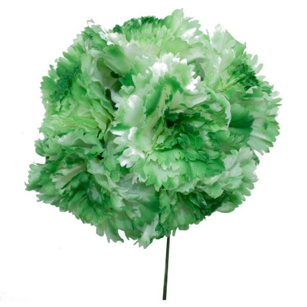 Ramillete de claveles de color Verde Manzana Degradado