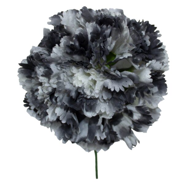Ramillete de claveles de color Negro Degradado