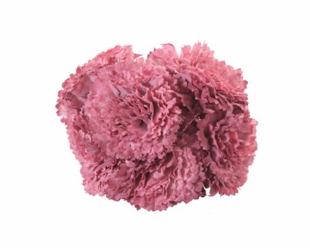 Ramillete de claveles de color Maquillaje - Imagen 1