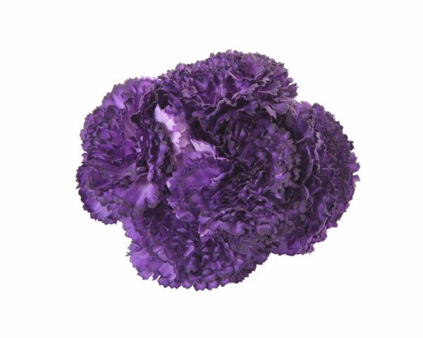 Ramillete de claveles de color Morado